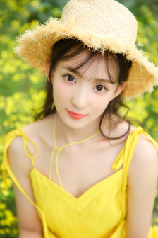 电视剧秋海棠